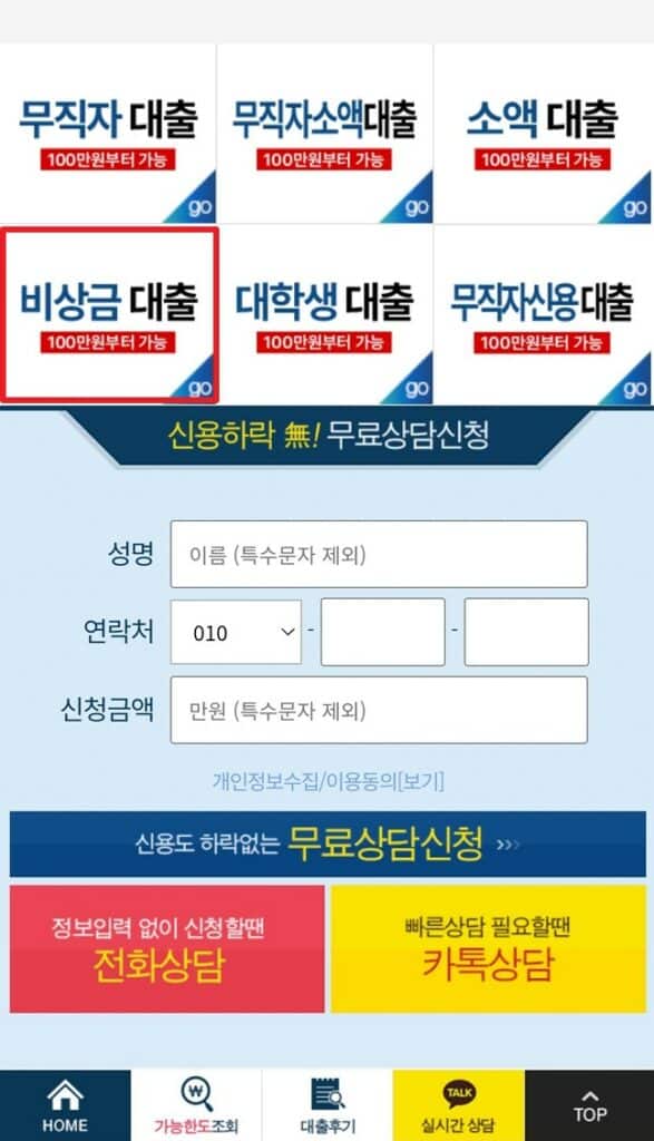 비상금대출