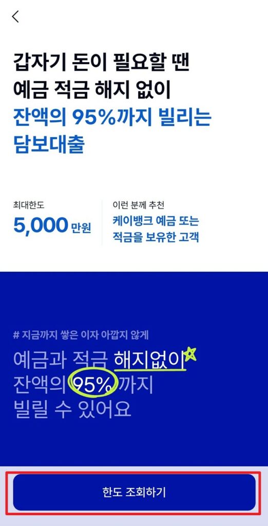 한도 조회하기