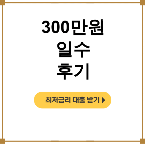 300만원 일수 후기ㅣ당일입금 무서류로 신용조회없이 해결한 솔직담백 체험기