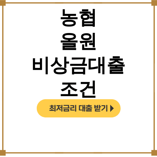 농협 올원 비상금대출 조건 NH콕 신청방법 총정리 후기 대공개!