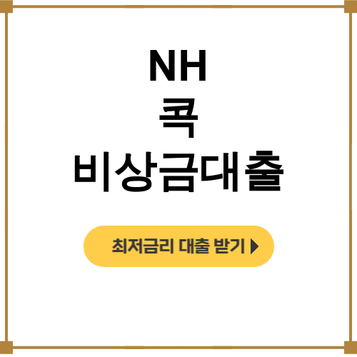 NH 콕 비상금대출 거절 후기 – 부결돼도 희망이 있다!