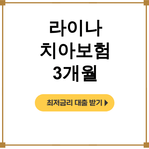 라이나 치아보험 3개월