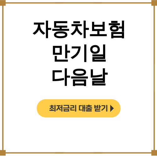 자동차보험 만기일 다음날